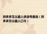 拼多多怎么输入快递号查询（拼多多怎么输入口令）