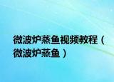 微波炉蒸鱼视频教程（微波炉蒸鱼）