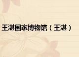 王湛国家博物馆（王湛）