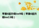 苹果6能升级ios9吗（苹果6能升级ios13吗）