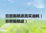 劳恩斯酷派真实油耗（劳恩斯酷派）