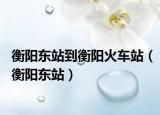 衡阳东站到衡阳火车站（衡阳东站）