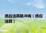 感应洁具脉冲阀（感应洁具）
