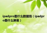 ipadpro是什么数据线（ipadpro是什么屏幕）