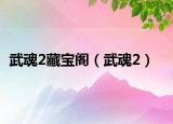 武魂2藏宝阁（武魂2）