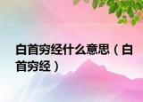 白首穷经什么意思（白首穷经）