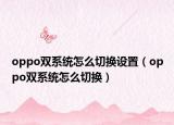 oppo双系统怎么切换设置（oppo双系统怎么切换）