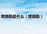 燃烧匙是什么（燃烧匙）