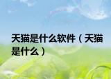 天猫是什么软件（天猫是什么）