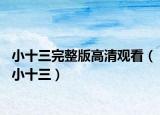 小十三完整版高清观看（小十三）