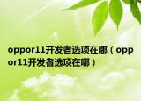 oppor11开发者选项在哪（oppor11开发者选项在哪）