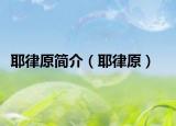 耶律原简介（耶律原）