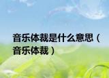 音乐体裁是什么意思（音乐体裁）