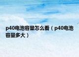 p40电池容量怎么看（p40电池容量多大）