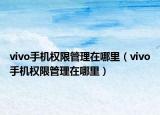 vivo手机权限管理在哪里（vivo手机权限管理在哪里）