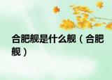 合肥舰是什么舰（合肥舰）