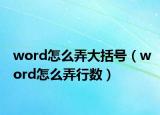 word怎么弄大括号（word怎么弄行数）