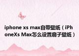 iphone xs max自带壁纸（iPhoneXs Max怎么设置扇子壁纸）