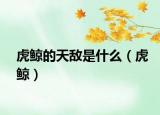 虎鲸的天敌是什么（虎鲸）
