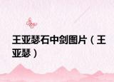 王亚瑟石中剑图片（王亚瑟）
