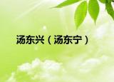 汤东兴（汤东宁）