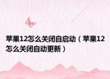 苹果12怎么关闭自启动（苹果12怎么关闭自动更新）