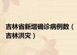 吉林省新增确诊病例数（吉林洪灾）