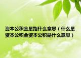 资本公积金是指什么意思（什么是资本公积金资本公积是什么意思）