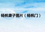 杨帆妻子图片（杨帆门）