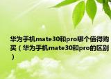 华为手机mate30和pro哪个值得购买（华为手机mate30和pro的区别）
