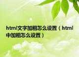 html文字加粗怎么设置（html中加粗怎么设置）