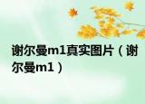 谢尔曼m1真实图片（谢尔曼m1）