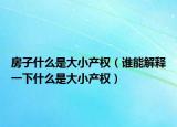 房子什么是大小产权（谁能解释一下什么是大小产权）