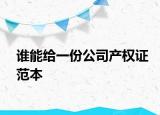 谁能给一份公司产权证范本