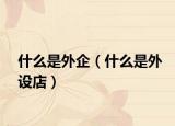 什么是外企（什么是外设店）
