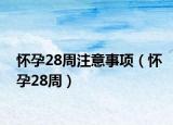 怀孕28周注意事项（怀孕28周）