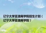 辽宁大学亚澳商学院招生计划（辽宁大学亚澳商学院）