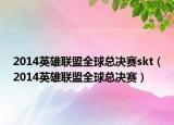 2014英雄联盟全球总决赛skt（2014英雄联盟全球总决赛）
