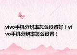 vivo手机分辨率怎么设置好（vivo手机分辨率怎么设置）