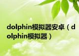 dolphin模拟器安卓（dolphin模拟器）