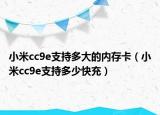 小米cc9e支持多大的内存卡（小米cc9e支持多少快充）