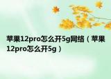 苹果12pro怎么开5g网络（苹果12pro怎么开5g）