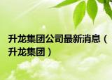 升龙集团公司最新消息（升龙集团）