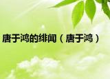 唐于鸿的绯闻（唐于鸿）