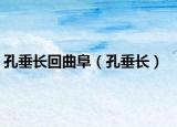 孔垂长回曲阜（孔垂长）