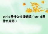 ctrl d是什么快捷键呢（ctrl d是什么意思）