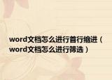 word文档怎么进行首行缩进（word文档怎么进行筛选）