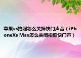苹果xs拍照怎么关掉快门声音（iPhoneXs Max怎么关闭拍照快门声）