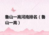 鲁山一高河南排名（鲁山一高）