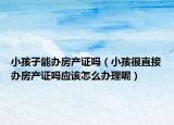 小孩子能办房产证吗（小孩很直接办房产证吗应该怎么办理呢）